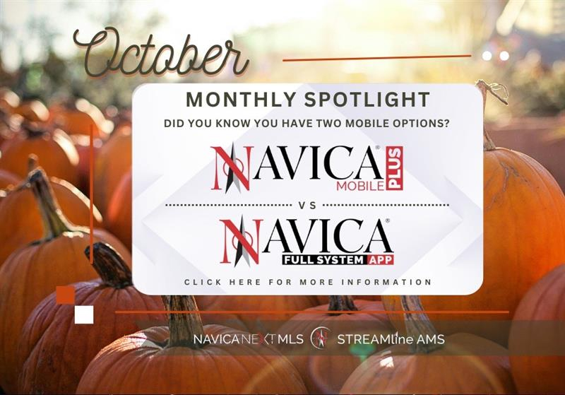 Navica Web Solutions